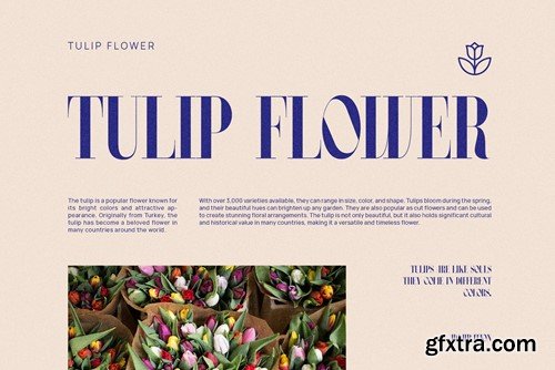 Charlie Elegant Serif Font Typeface TU6F6EC