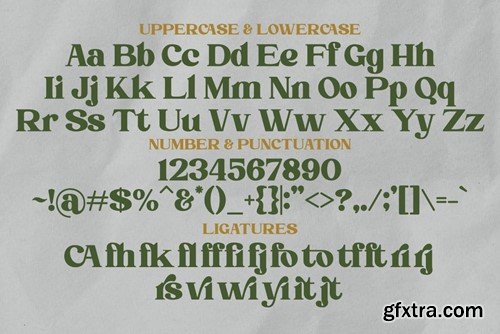 Blink Urgent - Retro Serif Font R6RVN75