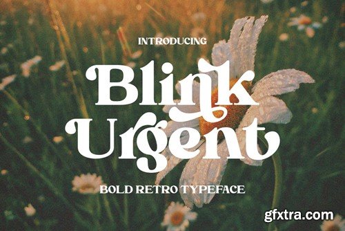 Blink Urgent - Retro Serif Font R6RVN75