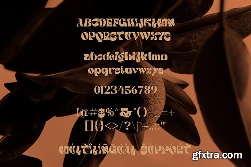 Guinevere - Serif Display Font XCDZTF4