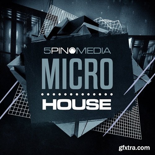 5Pin Media Micro House