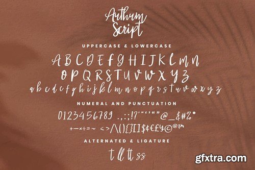 Authum Script - Handwritten Script fonts CQAZNCV