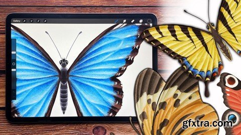 Procreate - Illustrate Butterflies And 3 Ways To Animate