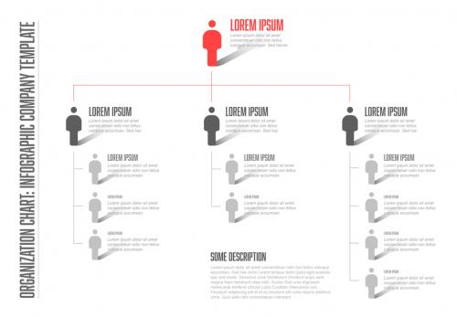 Organizational Chart Infographic Layout 2 - 188429774