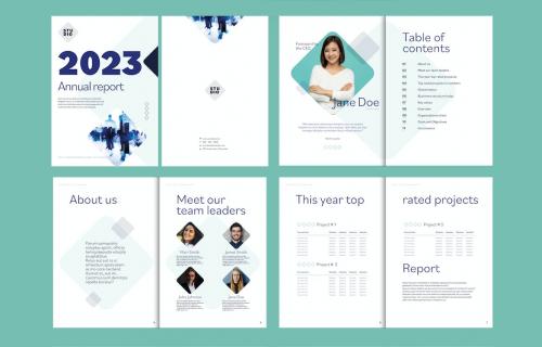 Business Annual Report Layout