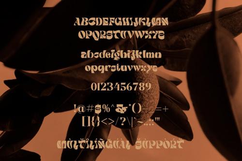 Guinevere - Serif Display Font