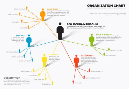 Company/Organization Network Infographic - 199206333