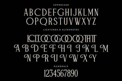 Figurlce Display Serif Font