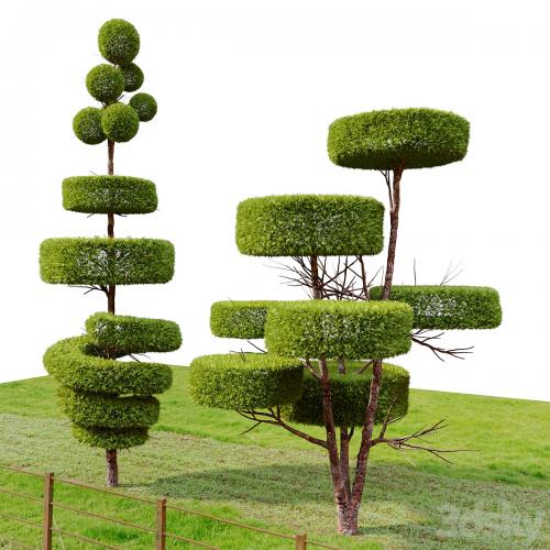 Topiary trees