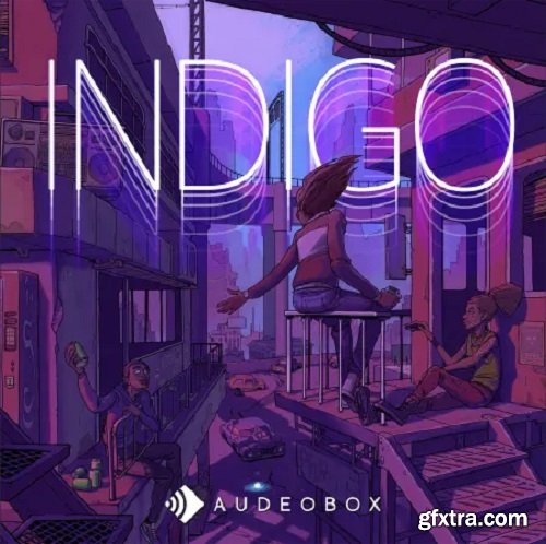 AudeoBox Indigo