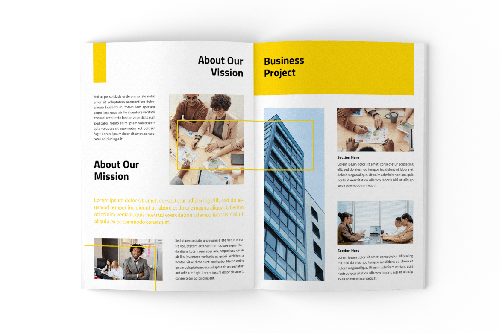 Business Brochure