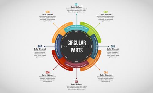 Numbered Circular Infographic Layout - 205095541