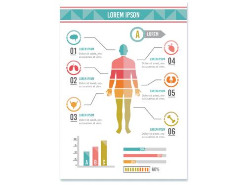 Human Body Diagram Chart Layout - 205119203