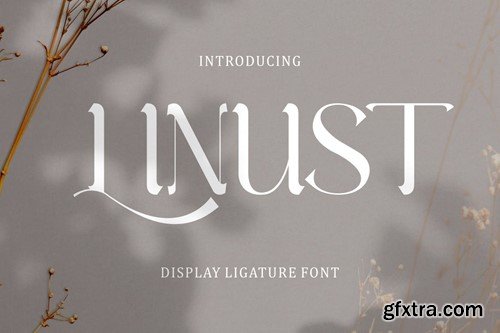 Linust - Display Modern Font VF3L56E