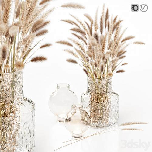 Dry flowers in glass vase