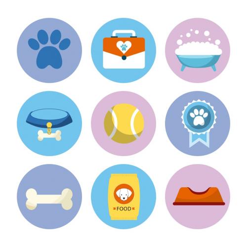 9 Colorful Pet Shop Icons - 211187513