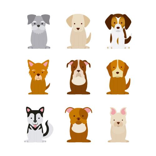 9 Colorful Dog Icons - 211187516