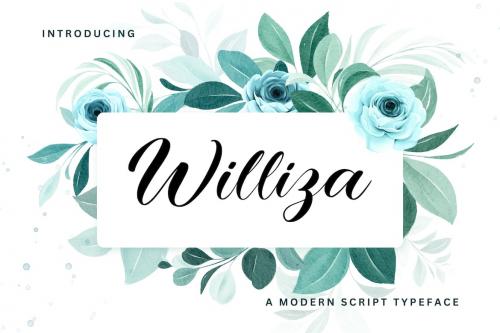 Williza - A Modern Script Typeface