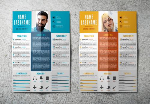 Resume Layout in Two Colors - 213276167