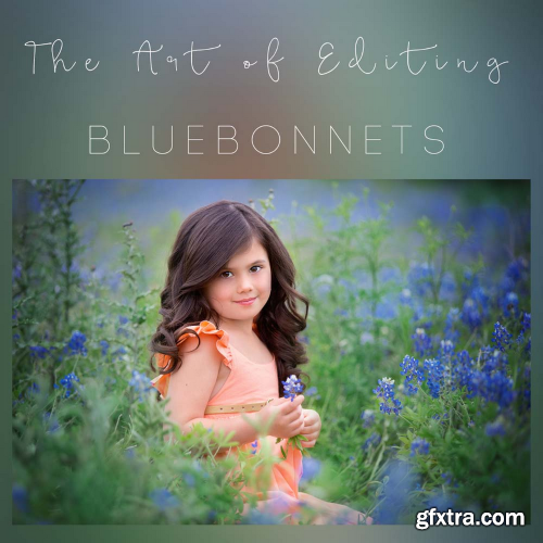 Sandra Bianco - Bluebonnets edit