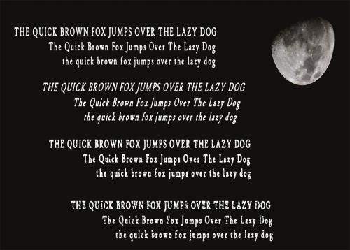 Wolfpack Family Font