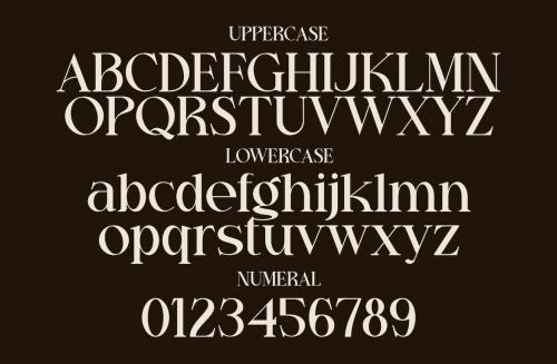 Prole Derose - A Modern Elegant Serif Font