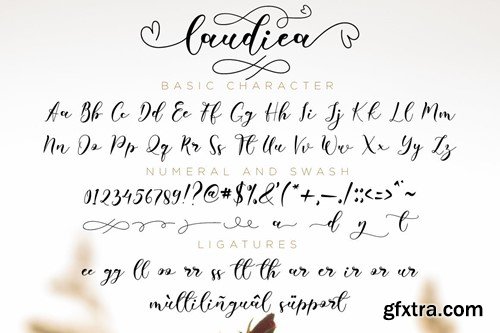 Laudiea - A Lovely Script Font VL82GSK