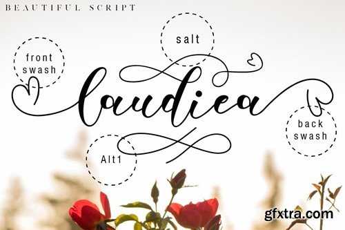 Laudiea - A Lovely Script Font VL82GSK