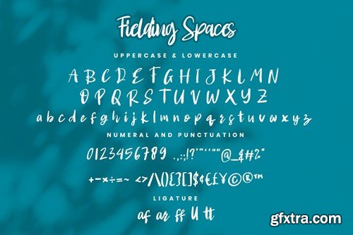 Fielding Spaces- Handwritten Script fonts FX9DRTX