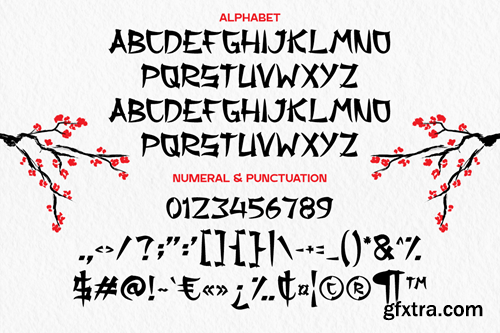 Akiro - Japanese Display Font J3RAEJ8