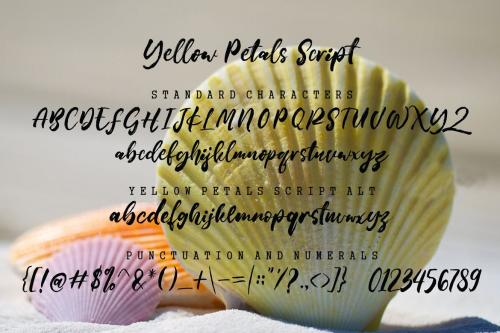 Yellow Petals Script