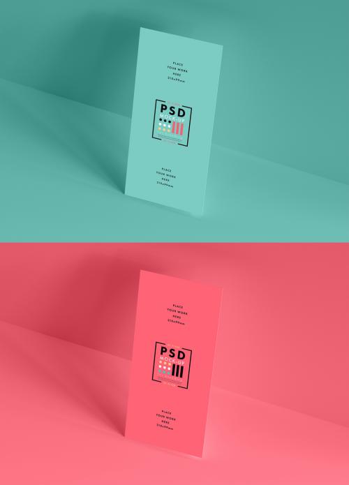 2 DL Flyer Mockups on Colorful Backgrounds - 224243047