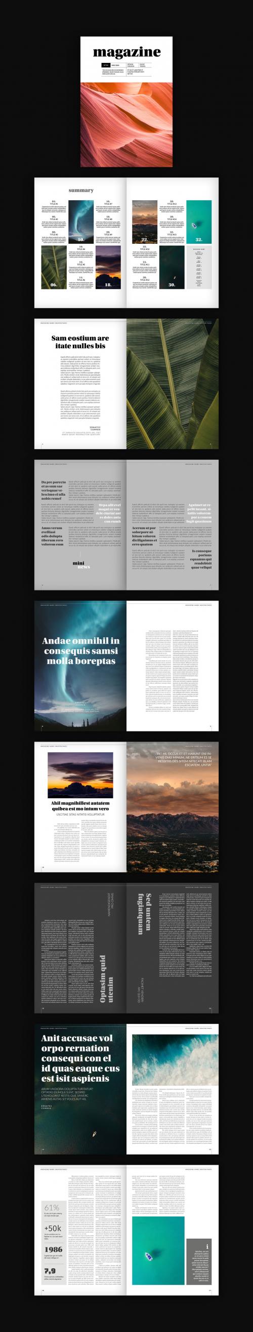 Magazine Layout with Gray Accents - 228387120