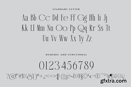 Bodera Elegant Display Serif Font 4A78KXQ