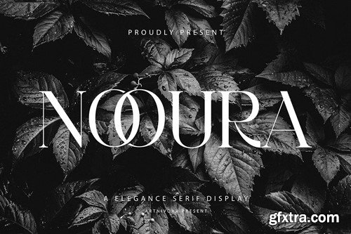 Nooura - Elegance Serif Font 6K6J28L