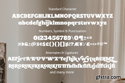 Harond – Bold Serif AJ2DVWS