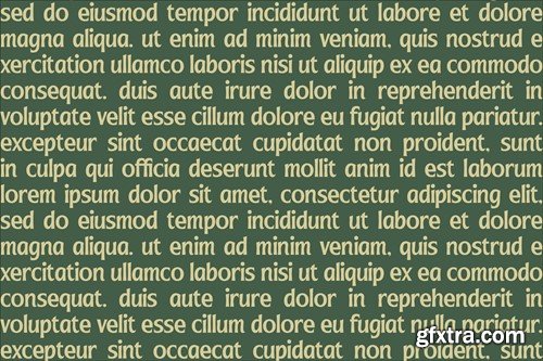 Huntrela A Modern Display Font XCSCXLF