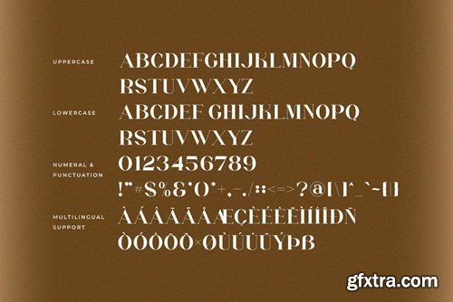 Baker - Stylish Serif Font Q99G86S