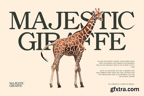 Asher Elegant Serif Font Typeface FSGLKNC