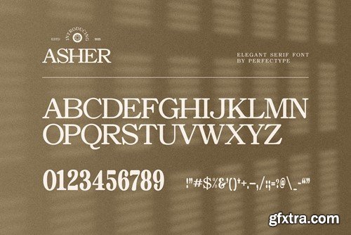 Asher Elegant Serif Font Typeface FSGLKNC