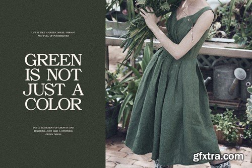 Asher Elegant Serif Font Typeface FSGLKNC