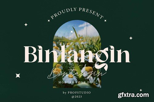 Bintangin - Modern Font Duo X4JSPND