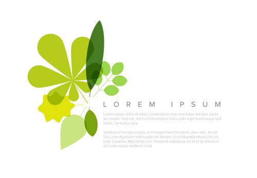 Web Banner Layout with Leaf Illustrations - 233624510