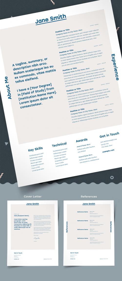 Contemporary Resume Layout - 236511110