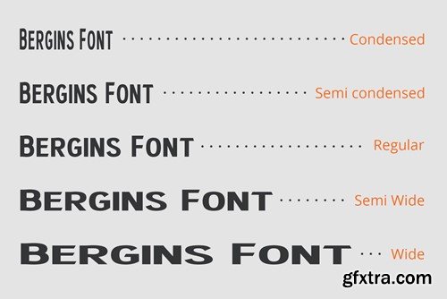 Bergins – Grotesque Sans Serif UT4U59A