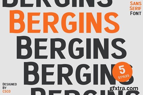 Bergins – Grotesque Sans Serif UT4U59A