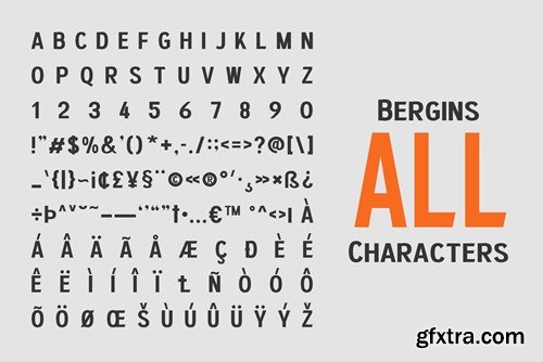 Bergins – Grotesque Sans Serif UT4U59A