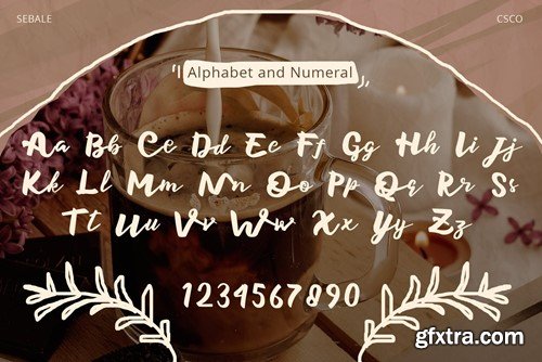 Sebale – Handwritten Script XBZPK8S