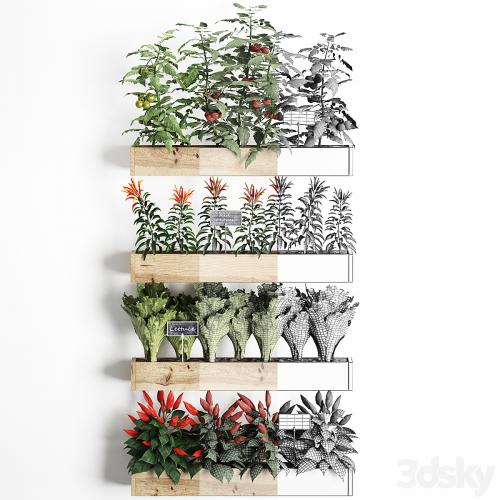 Vertical gardening. 45 Kitchen garden, kitchen garden, vegetables, herbs, peppers, tomatoes, tomatoes, Lettuce, phytomodule, phytowall, eco design, natural decor, vegetable garden