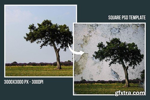 Square & Poster - Wall Art Painting Effects SA39KWF